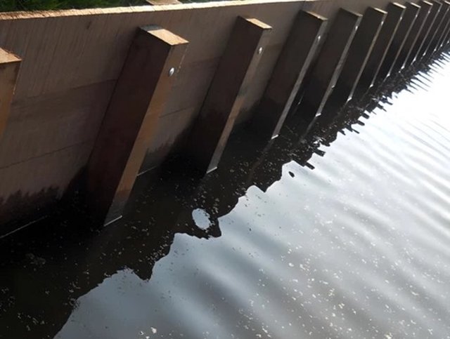 Hardhouten beschoeiing langs het water