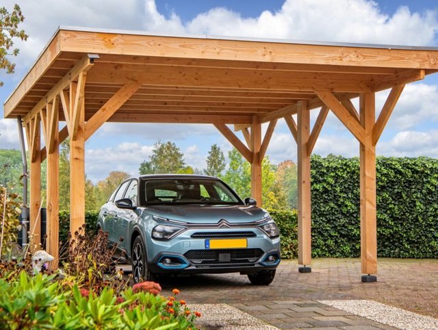 Douglas carport met een auto eronder