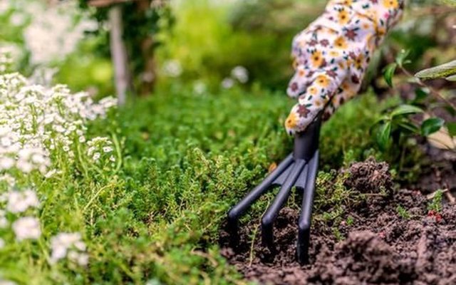 De tuin klaarmaken voor het voorjaar