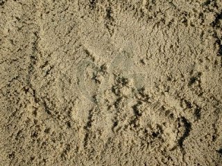 Speelzand Premium 0 – 0,5 mm