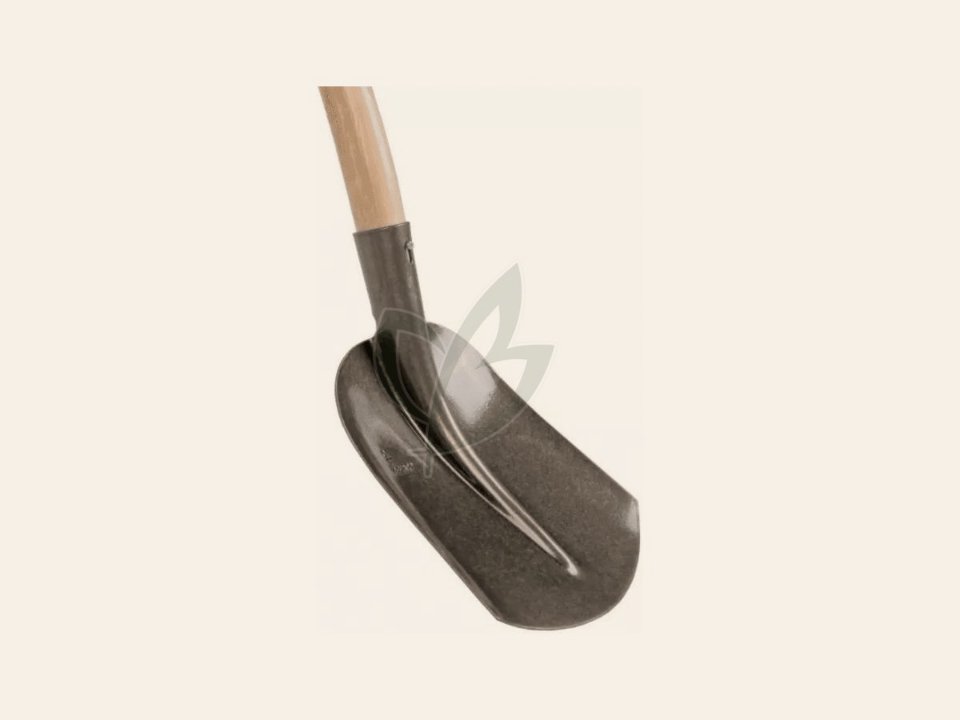Schepbats