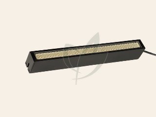 In-Lite EVO GROUND 300 DARK