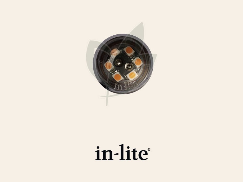 In-Lite DB-LED (WW)