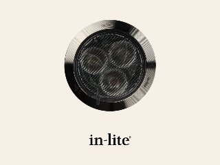 In-Lite FLUX
