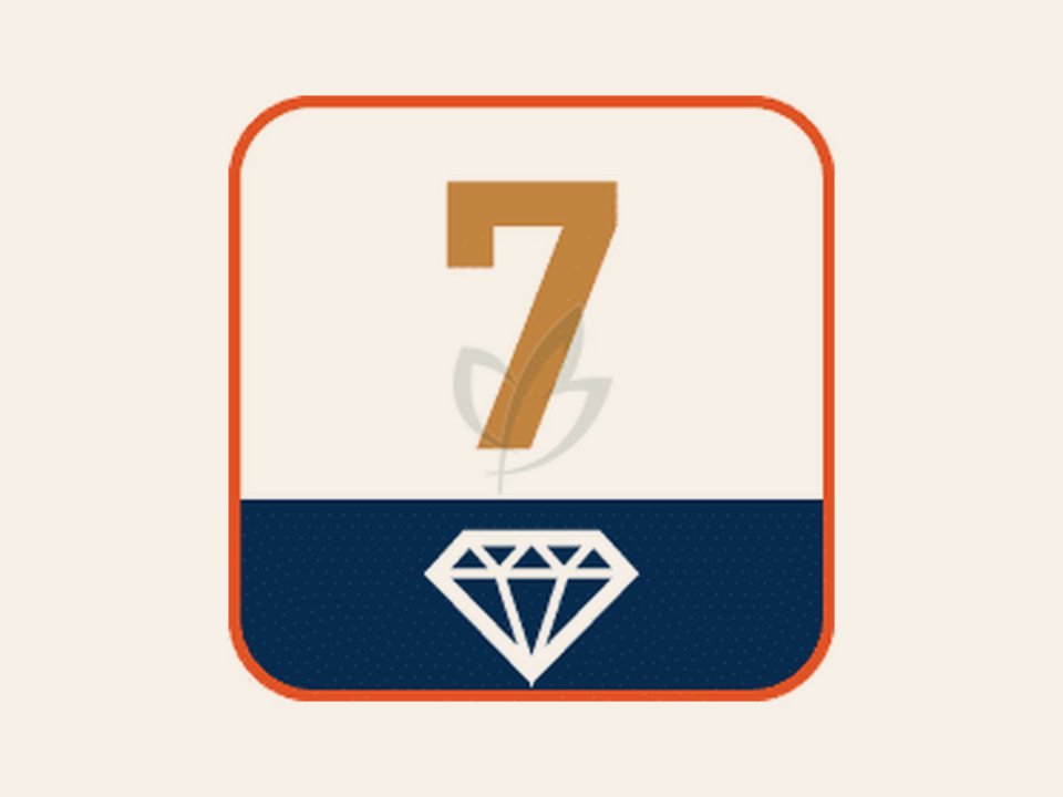 Diamantzaagblad ‘SPEEDY’