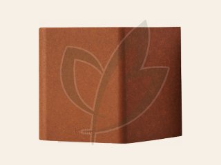 In-Lite Wandlampen ACE DOWN 100-230V