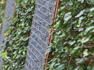 Gaaselement vuurverzinkt maaswijdte 4,5 × 4,5 cm, draaddikte 5 mm H180 x B90 cm