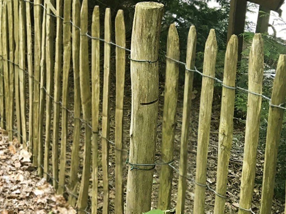Kastanje pallisade Ø 7,0-9,0 × 150 cm, gepunt, geschild