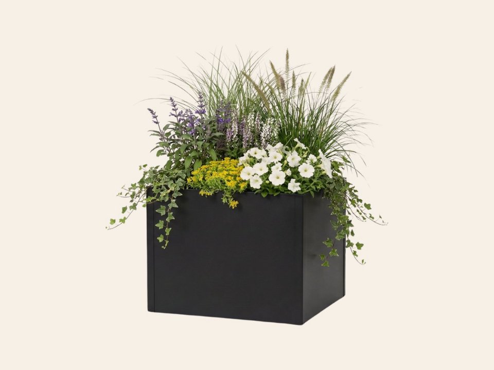 Seneca 100 – Dubbelwandige bloembak antraciet – 100 × 100 × 76 cm