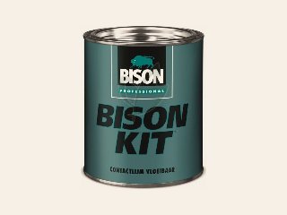 Bison prof. Kit tin