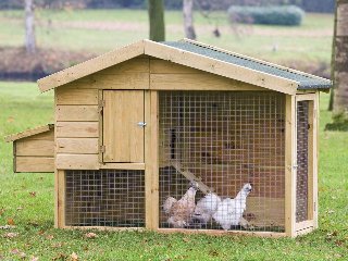 Dierenverblijf Barnevelder