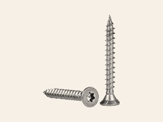 RVS schroef met snijpunt torx