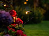LightPro Xible 12V, foto 4