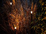 LightPro Erba Bundel van 3 Staande Lampen, foto 2