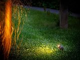Lightpro Juno 2, foto 4
