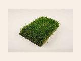 Kunstgras Diamond 60 mm, foto 1