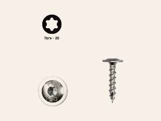 Flenskop schroef Ø 6 mm Torx T30, PFS+ verzinkt, 100 stuks
